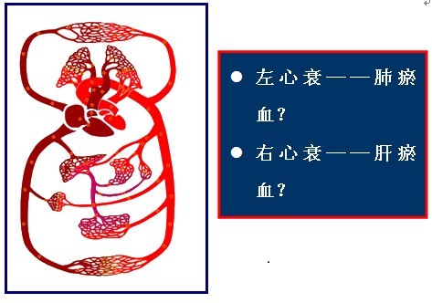 ֲѪҺѭϰ
